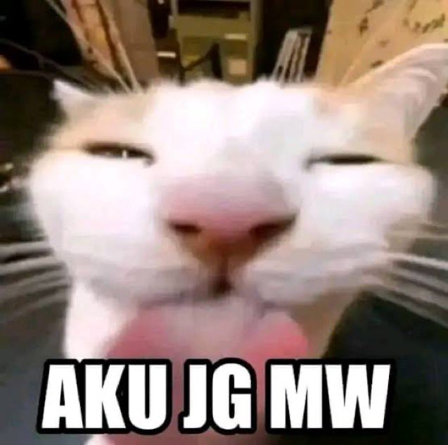 Aku Juga mw versi Kucing