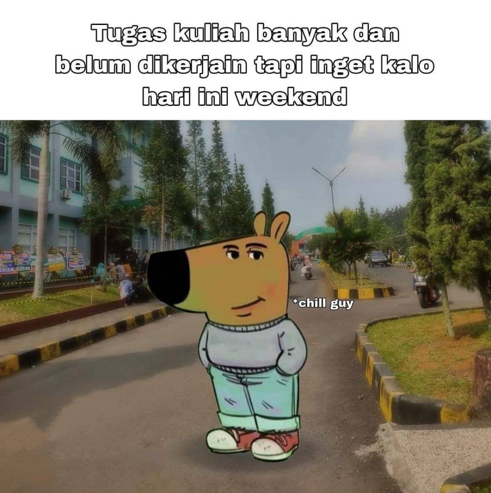 Apa Itu Meme Chill Guy yang Beredar Di Sosial Media?!